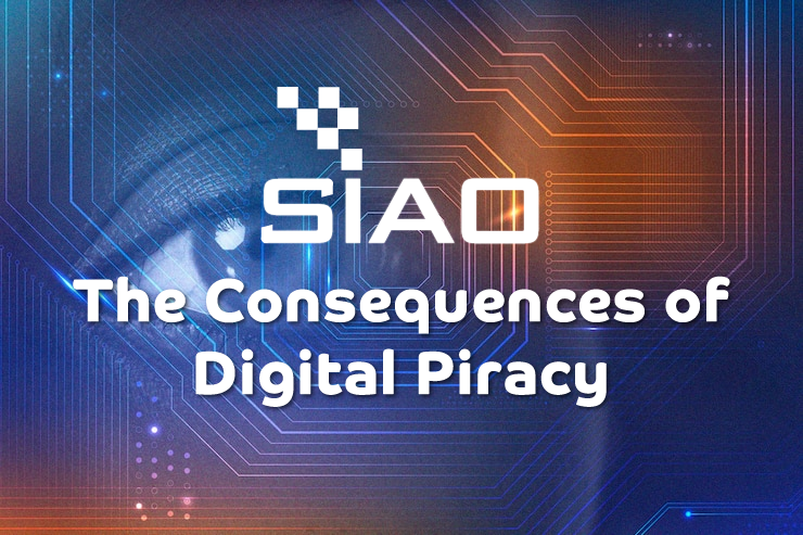 The Consequences of Digital Piracy